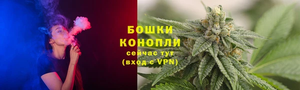 ГАЛЛЮЦИНОГЕННЫЕ ГРИБЫ Переславль-Залесский