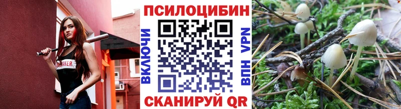 блэк спрут ТОР  Лыткарино  Псилоцибиновые грибы мухоморы 