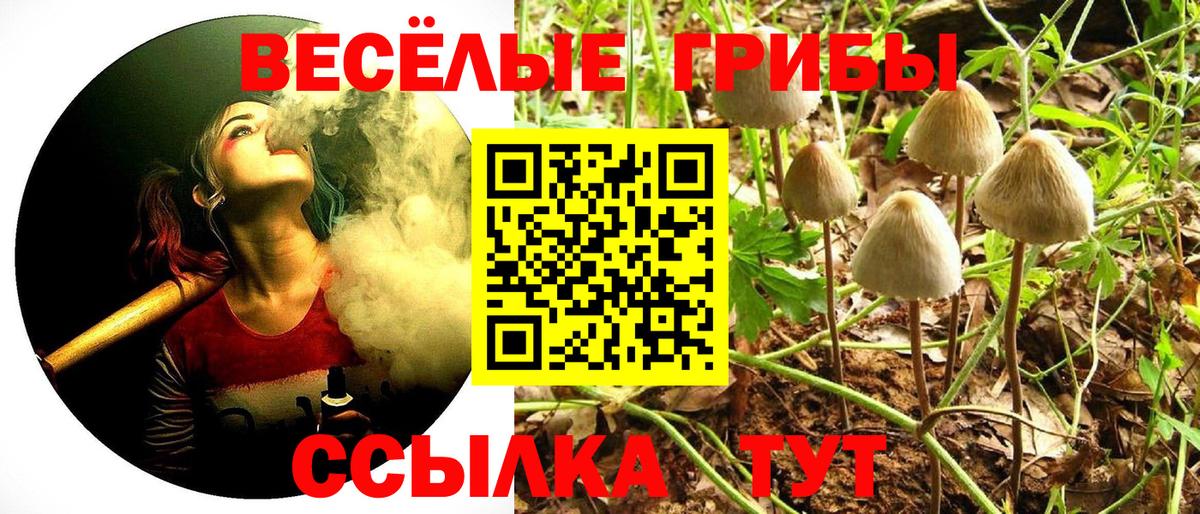 Псилоцибиновые грибы прущие грибы Лыткарино