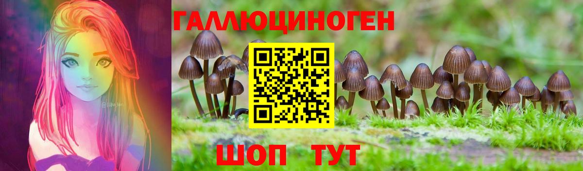 Галлюциногенные грибы мухоморы  Галлюциногенные грибы Psilocybe  закладки  Вход с VPN  Лыткарино 